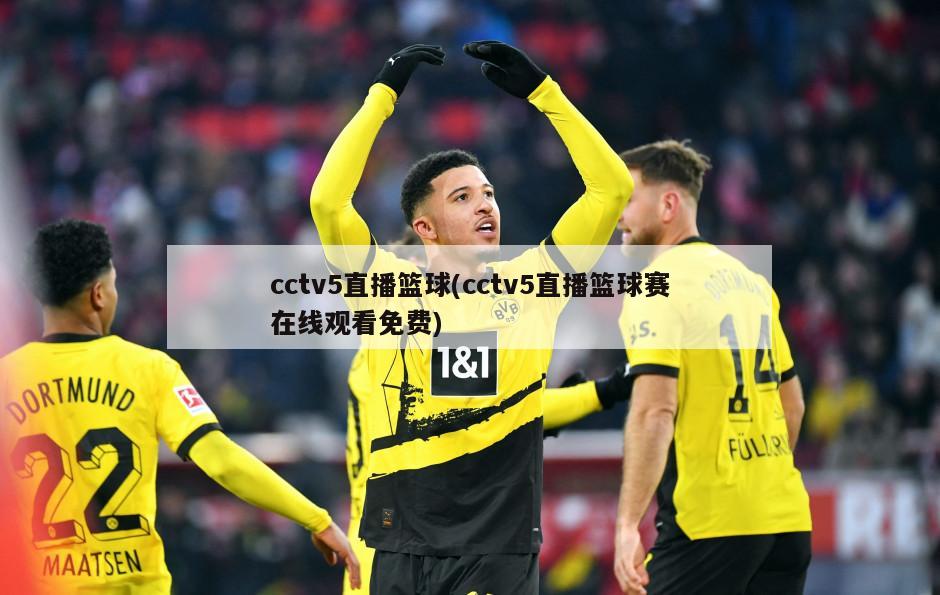 cctv5直播篮球(cctv5直播篮球赛在线观看免费)