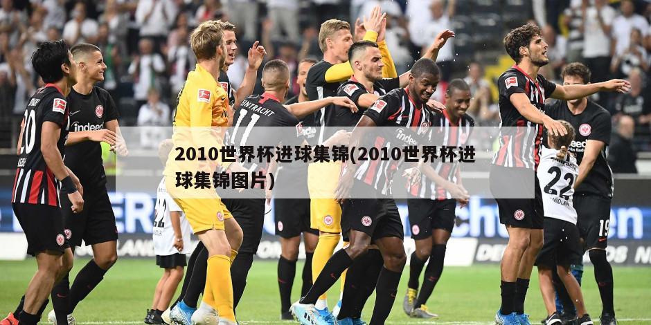 2010世界杯进球集锦(2010世界杯进球集锦图片)