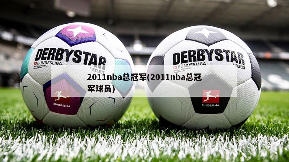 2011nba总冠军(2011nba总冠军球员)