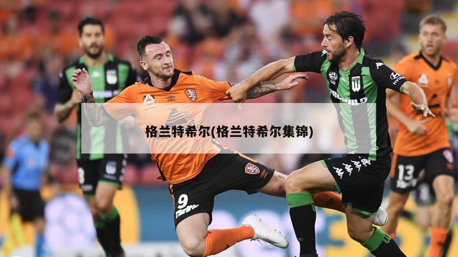 格兰特希尔(格兰特希尔集锦)