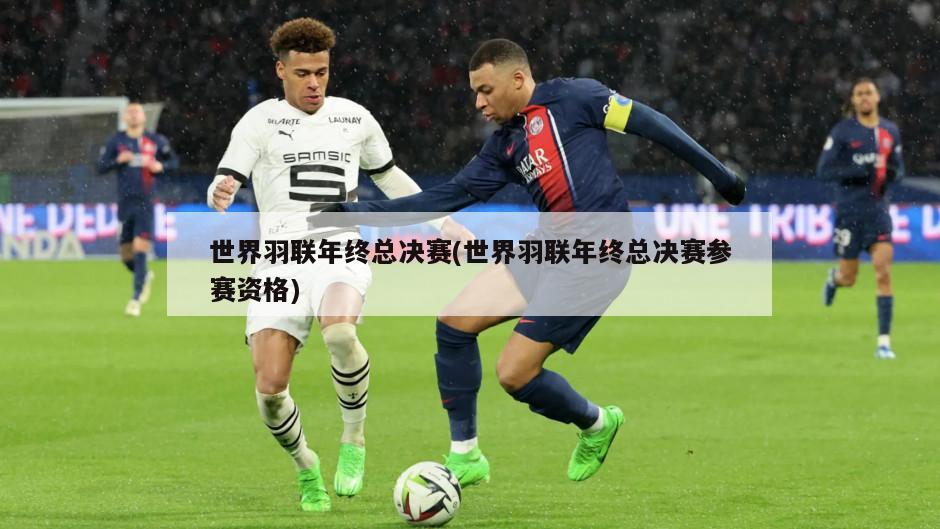 世界羽联年终总决赛(世界羽联年终总决赛参赛资格)