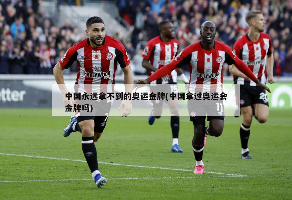 中国永远拿不到的奥运金牌(中国拿过奥运会金牌吗)