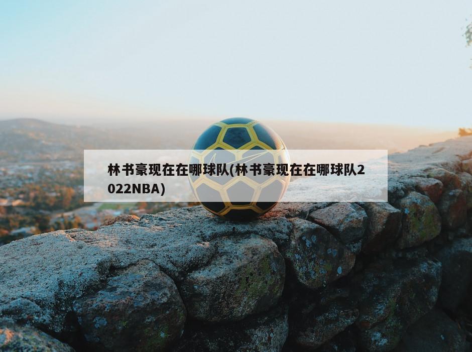林书豪现在在哪球队(林书豪现在在哪球队2022NBA)