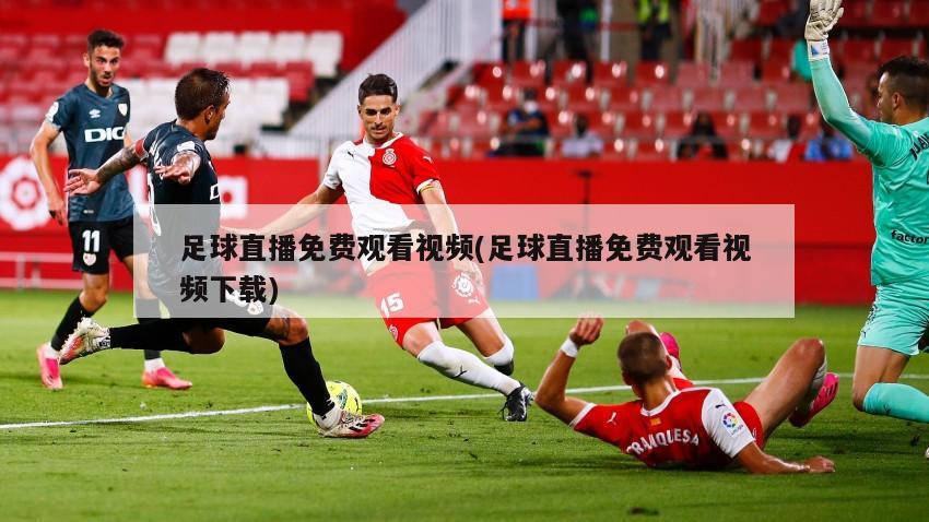 足球直播免费观看视频(足球直播免费观看视频下载)