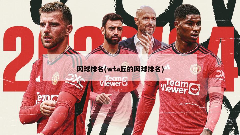 网球排名(wta丘的网球排名)