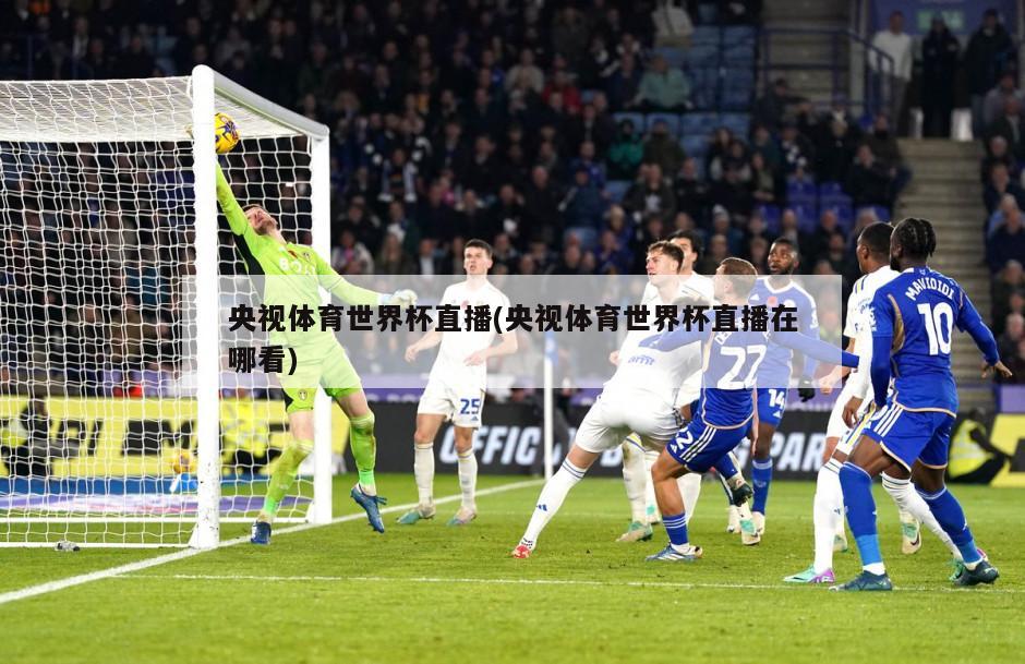 央视体育世界杯直播(央视体育世界杯直播在哪看)