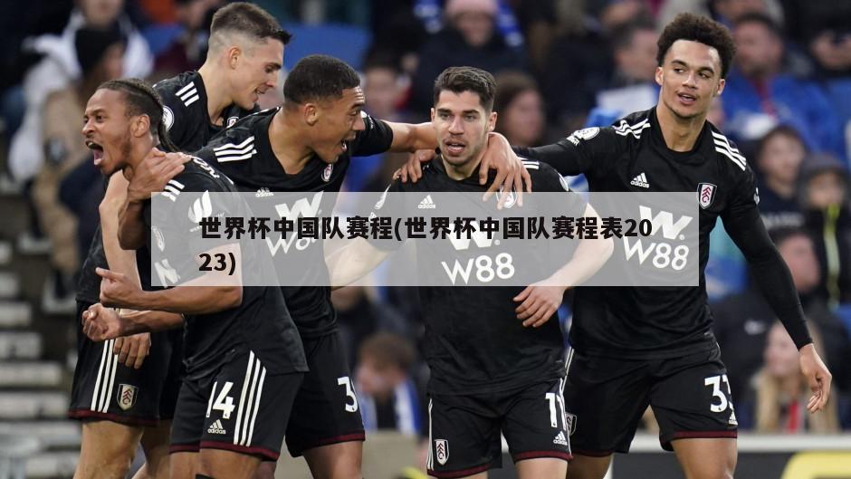 世界杯中国队赛程(世界杯中国队赛程表2023)