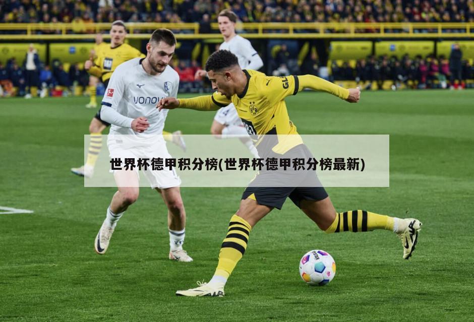 世界杯德甲积分榜(世界杯德甲积分榜最新)