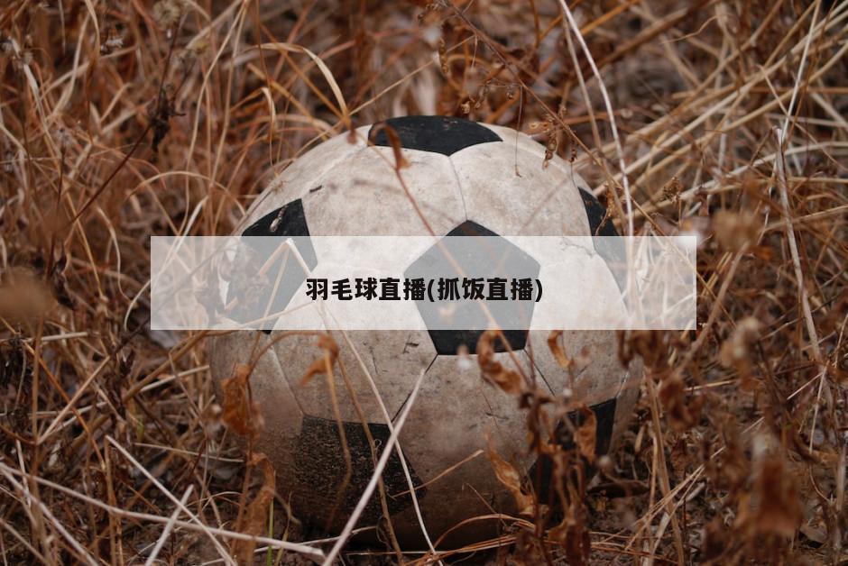 羽毛球直播(抓饭直播)