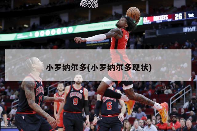 小罗纳尔多(小罗纳尔多现状)