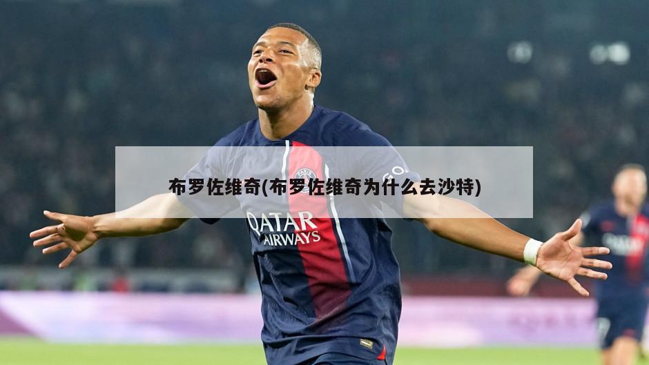 布罗佐维奇(布罗佐维奇为什么去沙特)