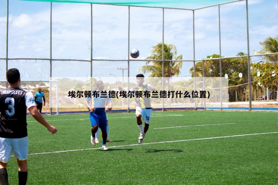 埃尔顿布兰德(埃尔顿布兰德打什么位置)